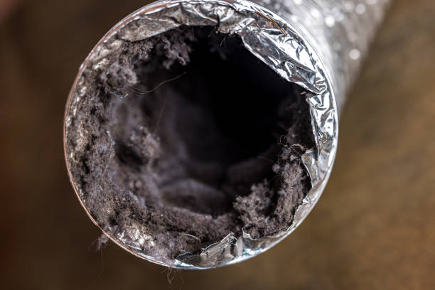 Best Professional Duct Cleaning Services  in Anna, IL